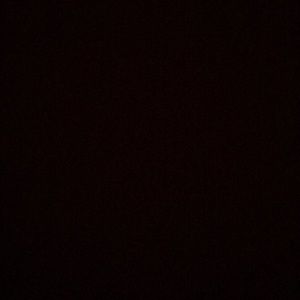 Meet your Posher, Eli